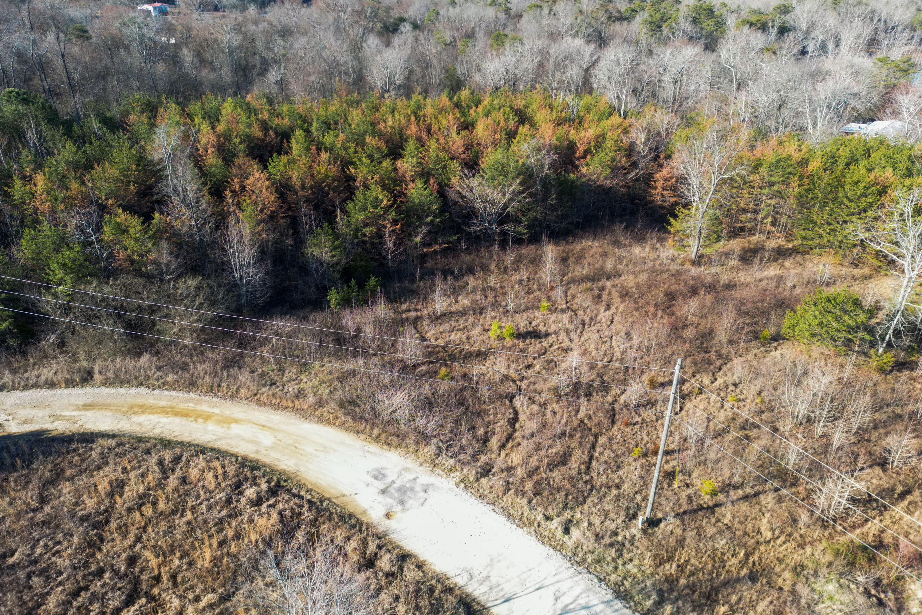 3 Acres Denvil Drive, Trenton, Georgia image 13