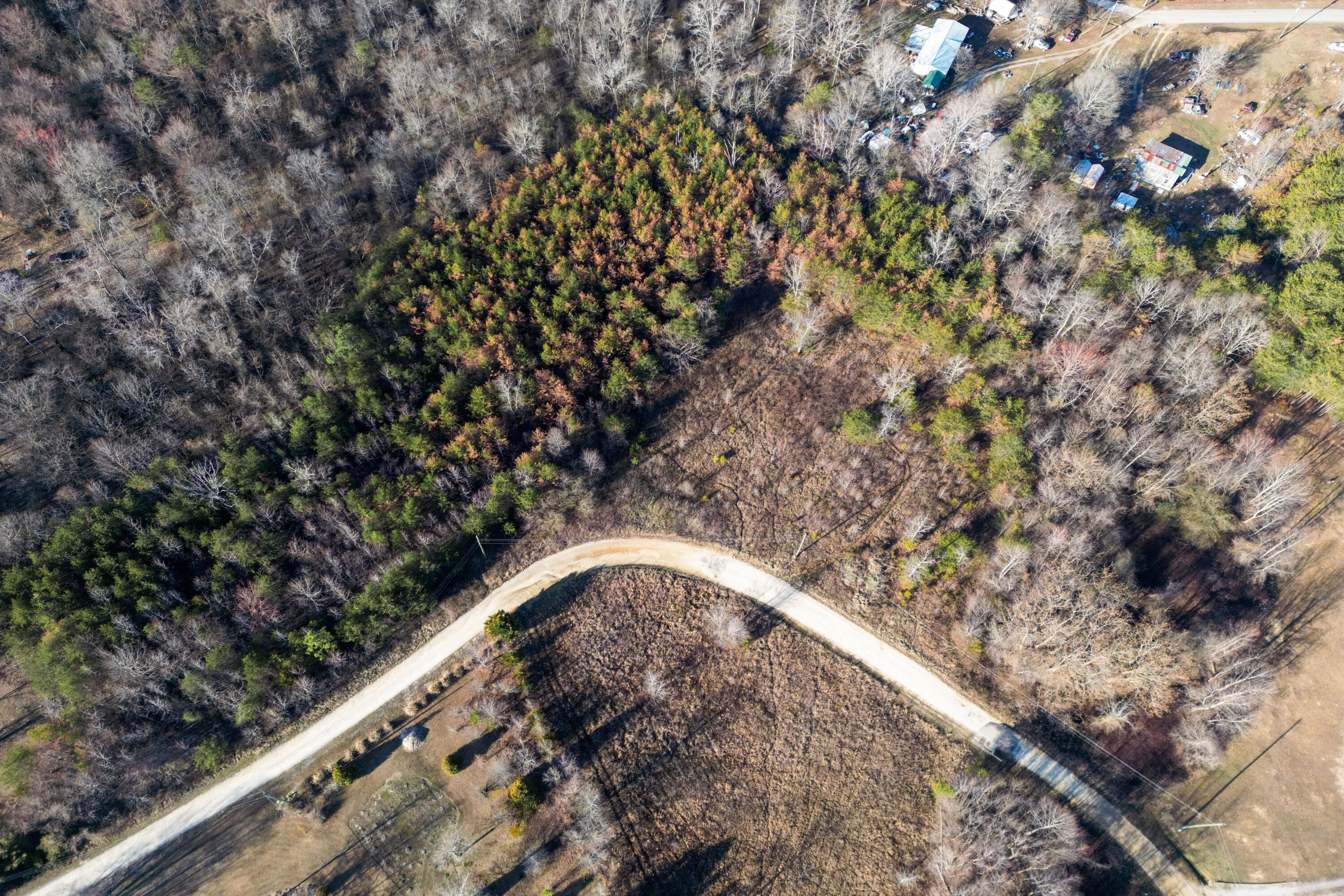 3 Acres Denvil Drive, Trenton, Georgia image 8