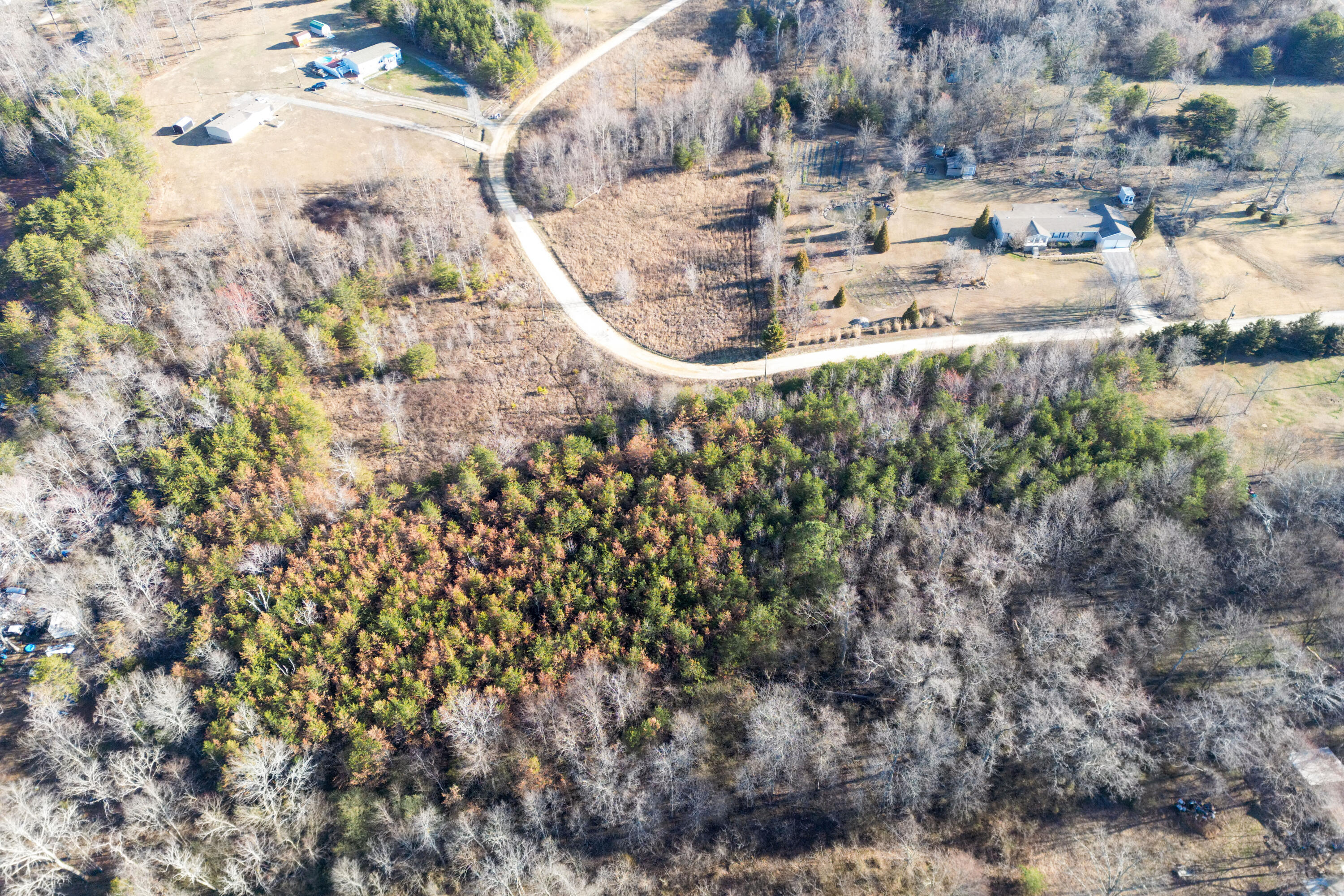 3 Acres Denvil Drive, Trenton, Georgia image 12