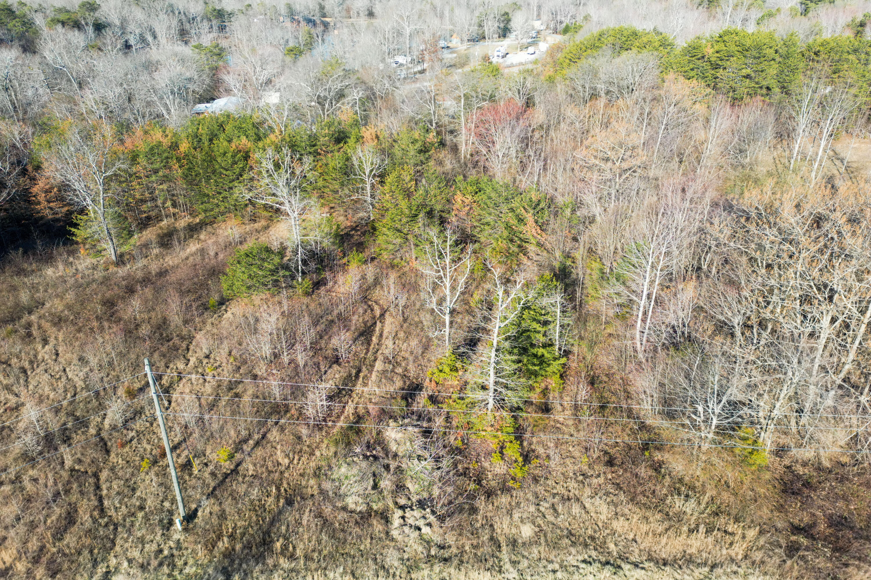 3 Acres Denvil Drive, Trenton, Georgia image 14
