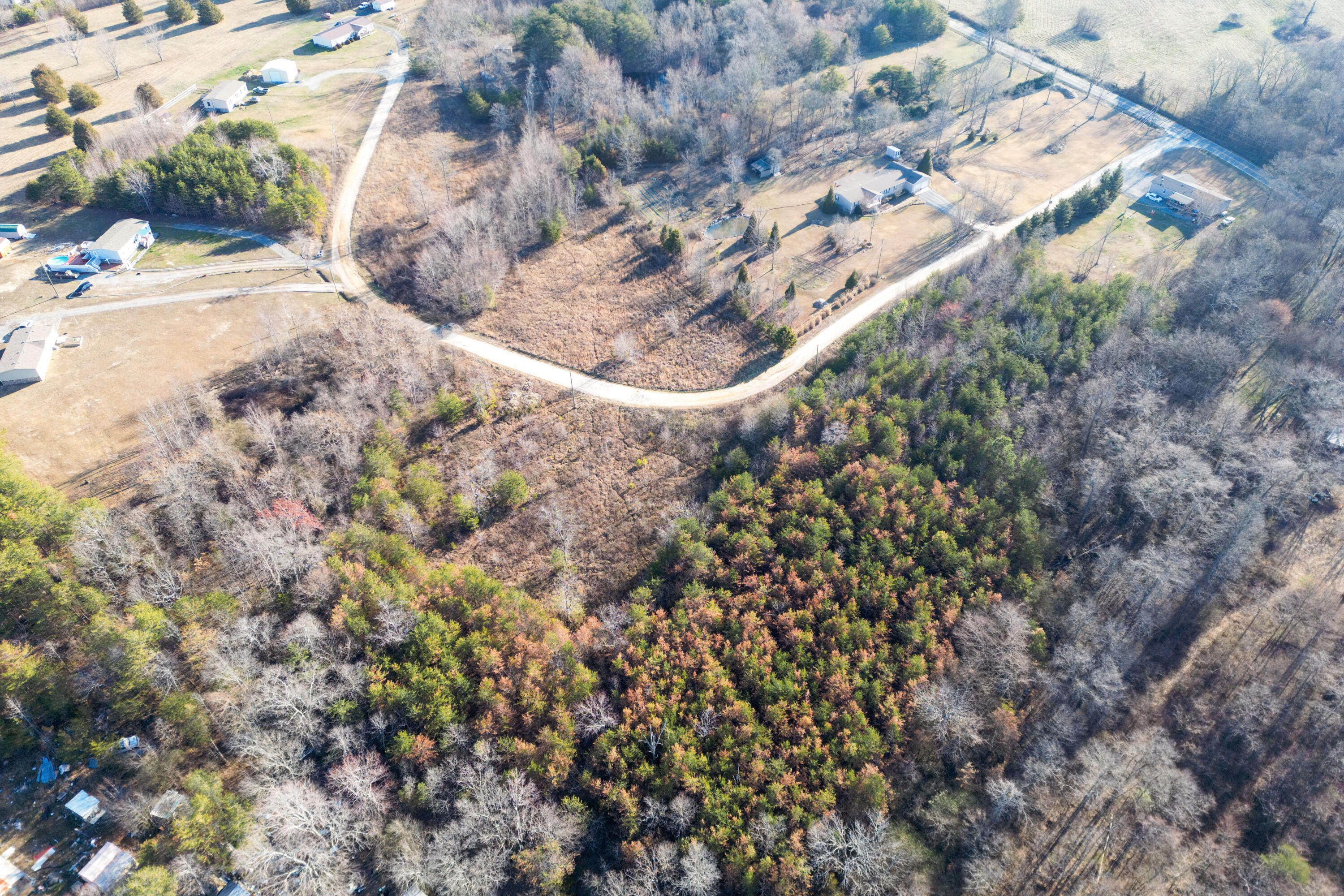 3 Acres Denvil Drive, Trenton, Georgia image 11