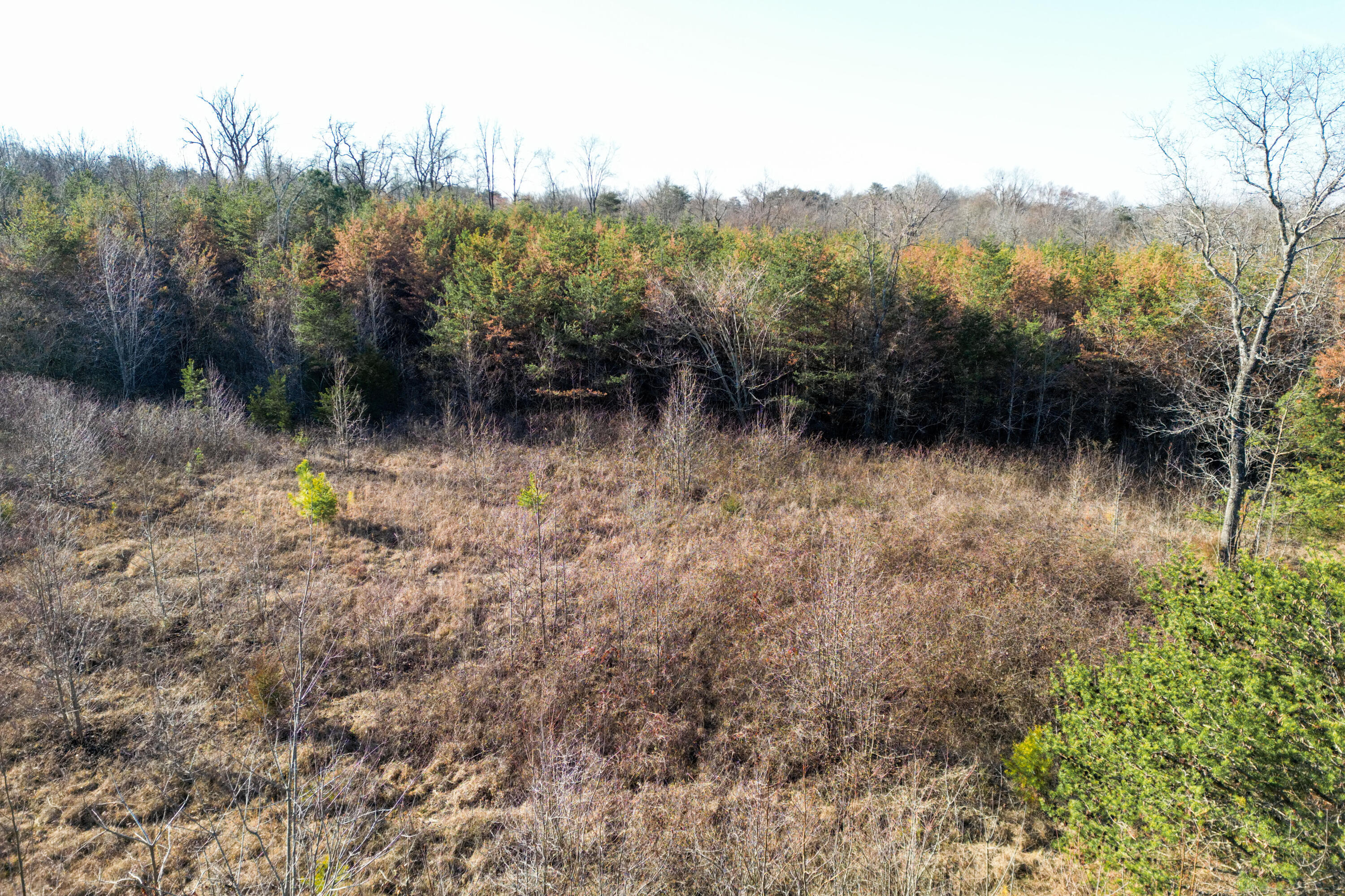 3 Acres Denvil Drive, Trenton, Georgia image 18
