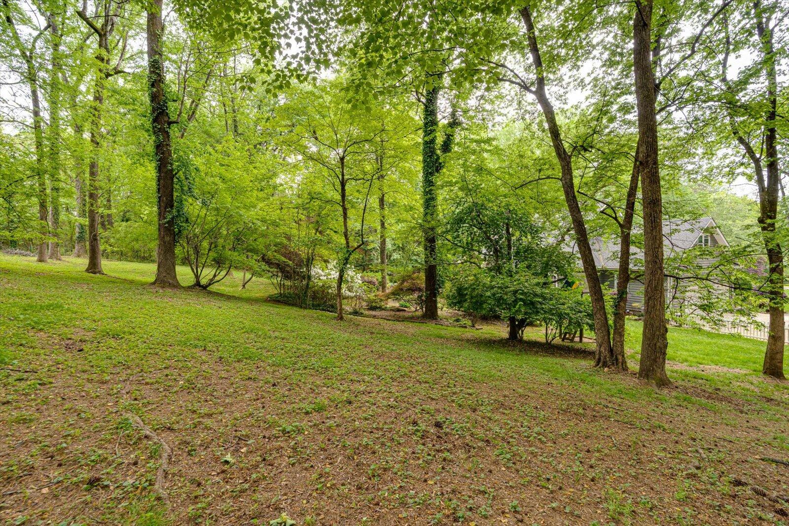 6535 Waconda Point Road, Harrison, Tennessee image 47