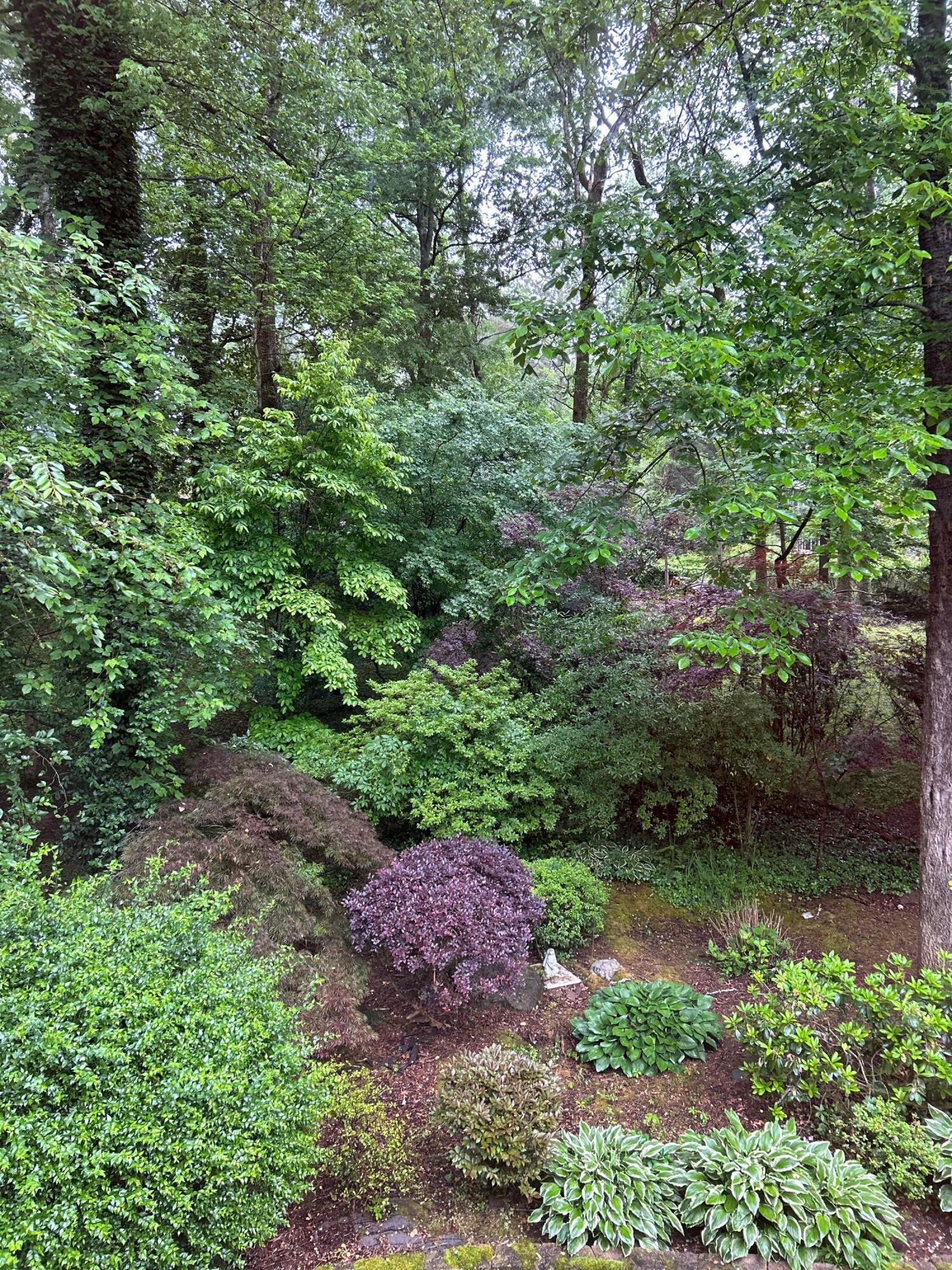 6535 Waconda Point Road, Harrison, Tennessee image 45