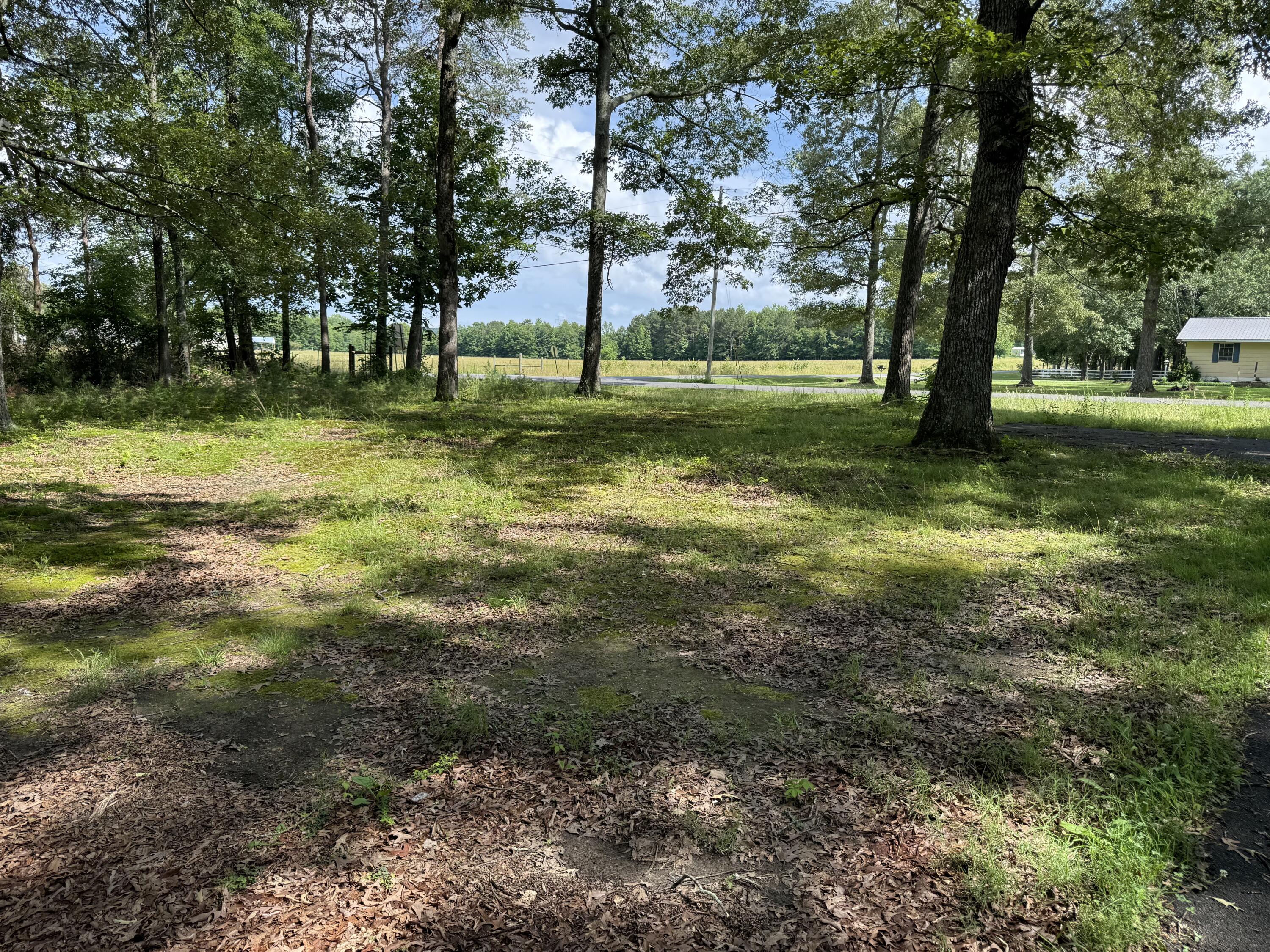 Higdon, Alabama 35979, United States, 3 Bedrooms Bedrooms, ,2 BathroomsBathrooms,Residential,Active,149627