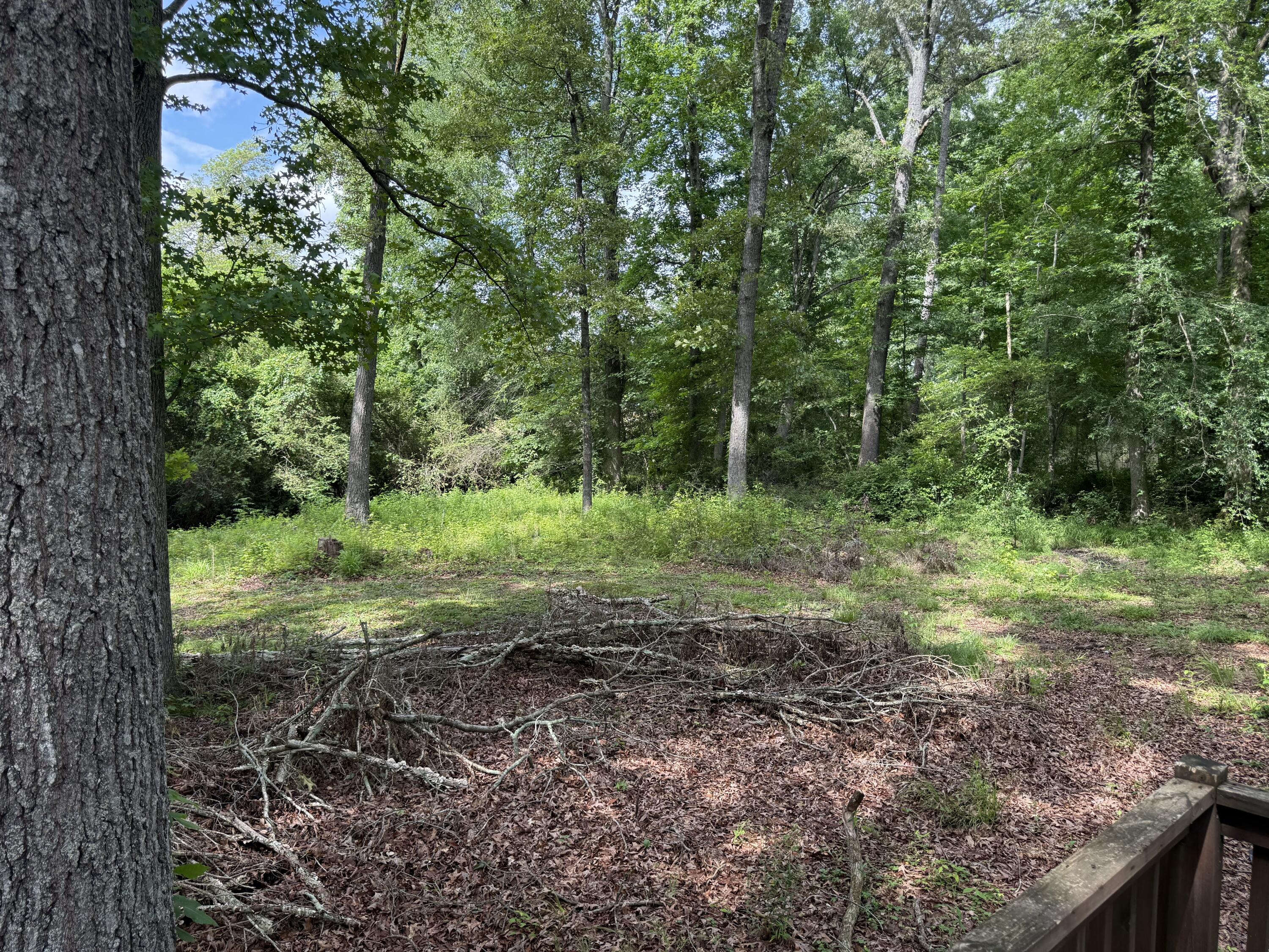 Higdon, Alabama 35979, United States, 3 Bedrooms Bedrooms, ,2 BathroomsBathrooms,Residential,Active,149627