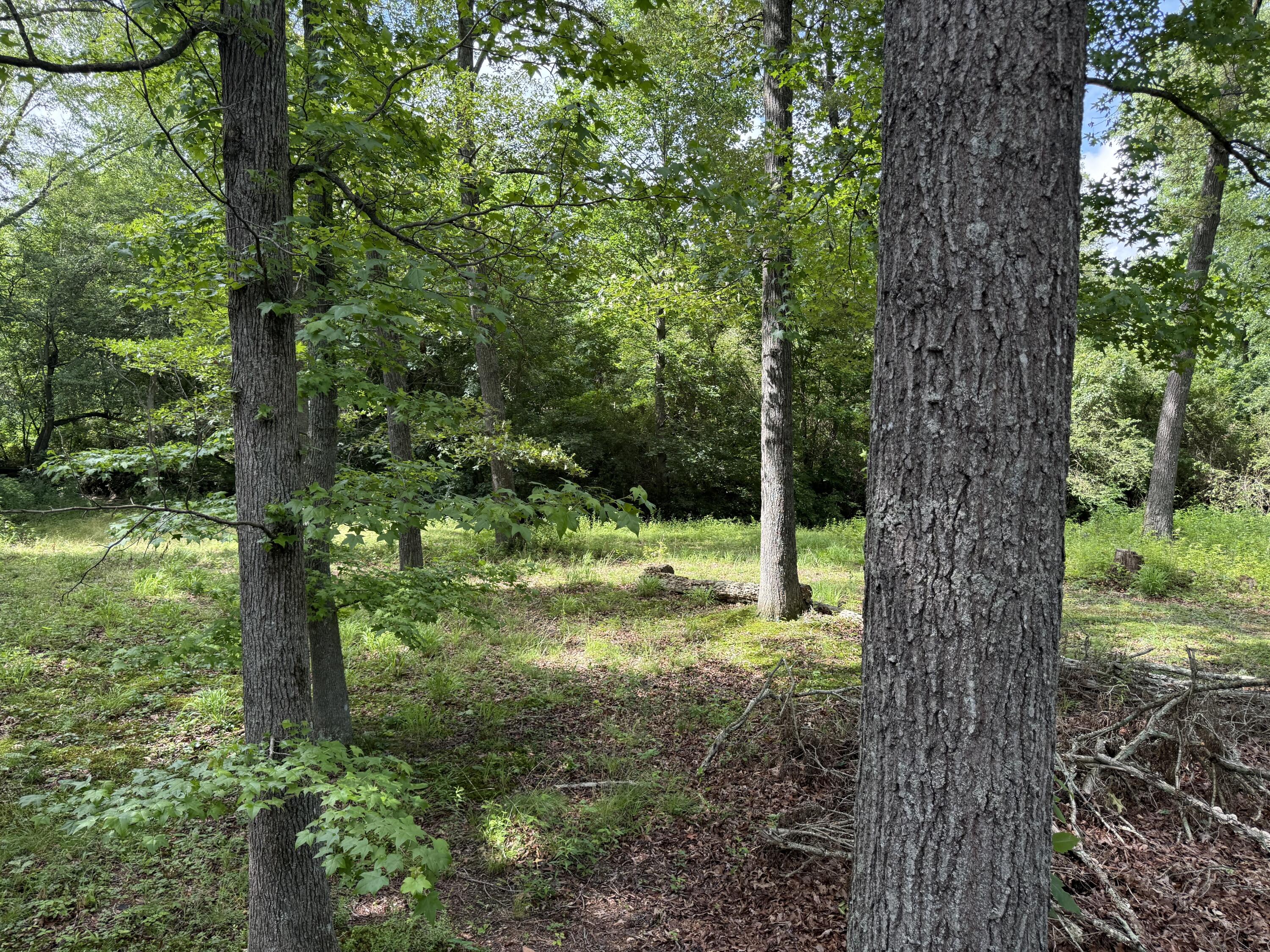 Higdon, Alabama 35979, United States, 3 Bedrooms Bedrooms, ,2 BathroomsBathrooms,Residential,Active,149627