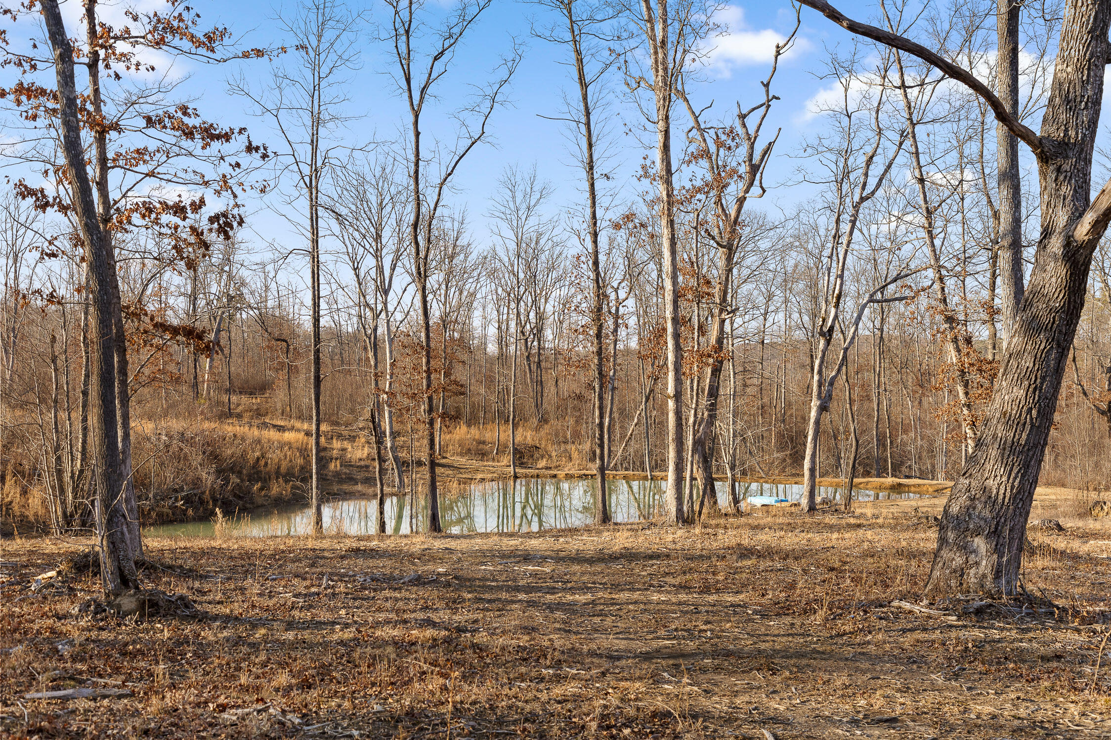 65 Deerhead Road, Dunlap, Tennessee image 1