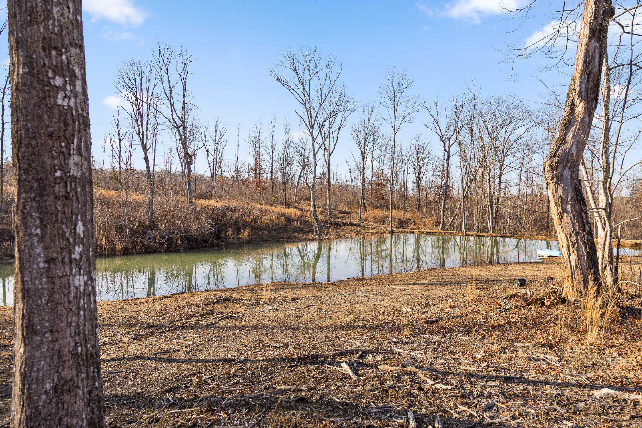 65 Deerhead Road, Dunlap, Tennessee image 9