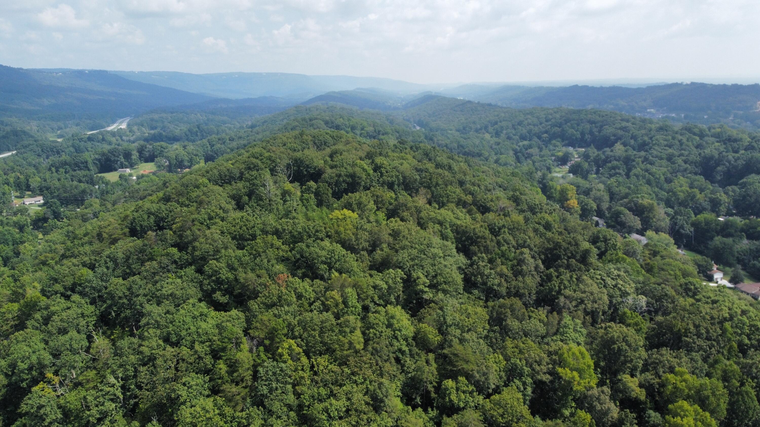 Browntown Road, Chattanooga, Tennessee image 2