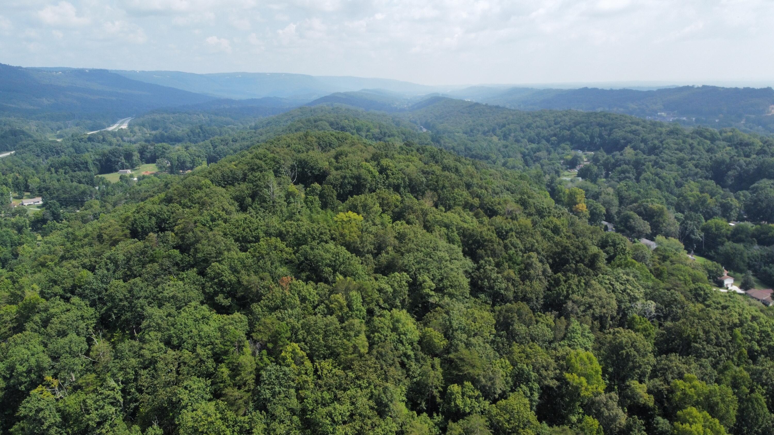 Browntown Road, Chattanooga, Tennessee image 3