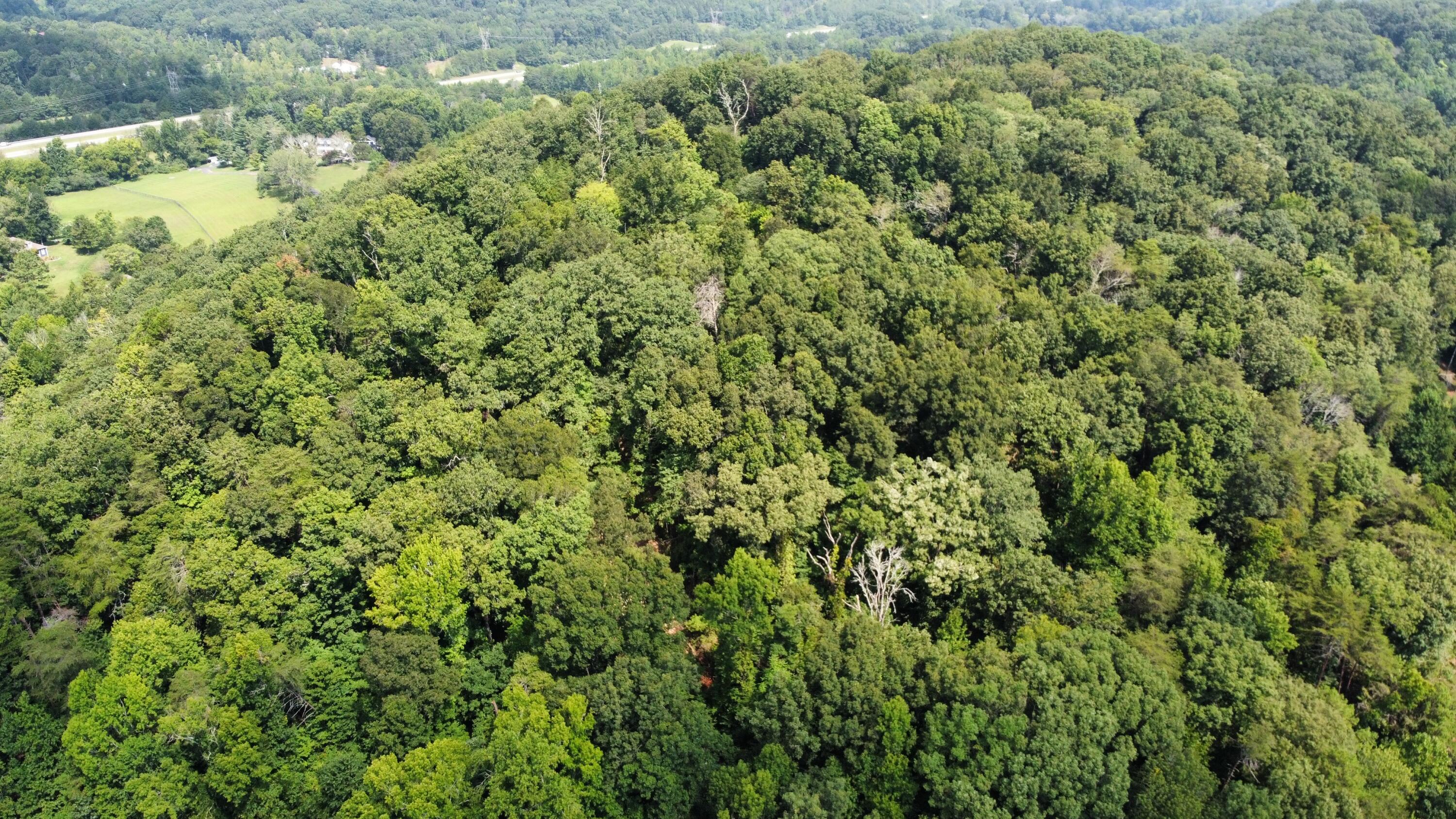 Browntown Road, Chattanooga, Tennessee image 1