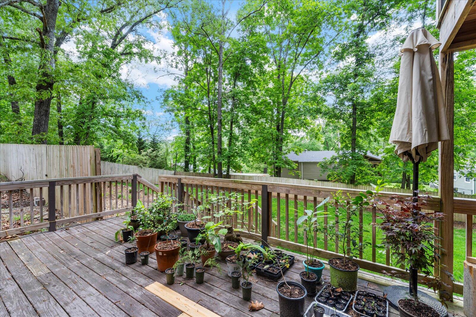 8904 Nelson Road, Soddy Daisy, Tennessee image 29