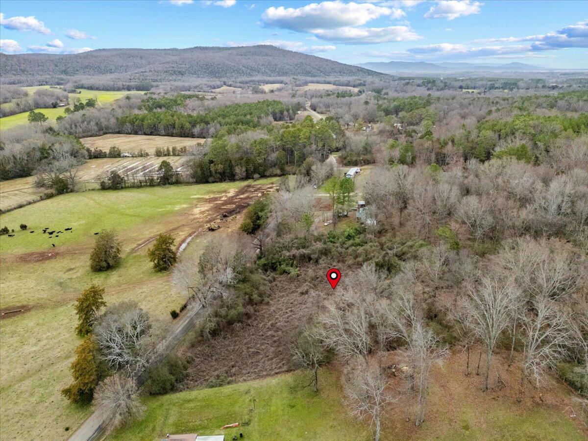 4 Acres County Road 42, Hollywood, Alabama image 16
