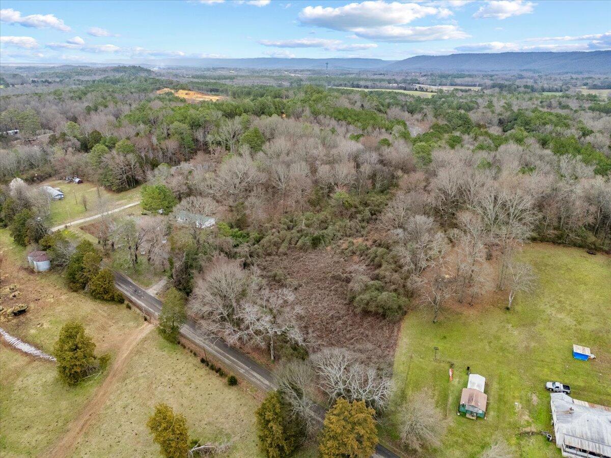 4 Acres County Road 42, Hollywood, Alabama image 13