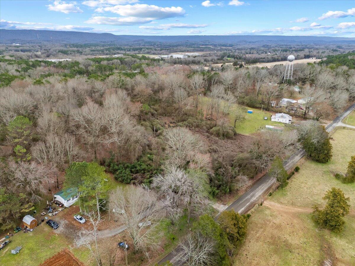 4 Acres County Road 42, Hollywood, Alabama image 6