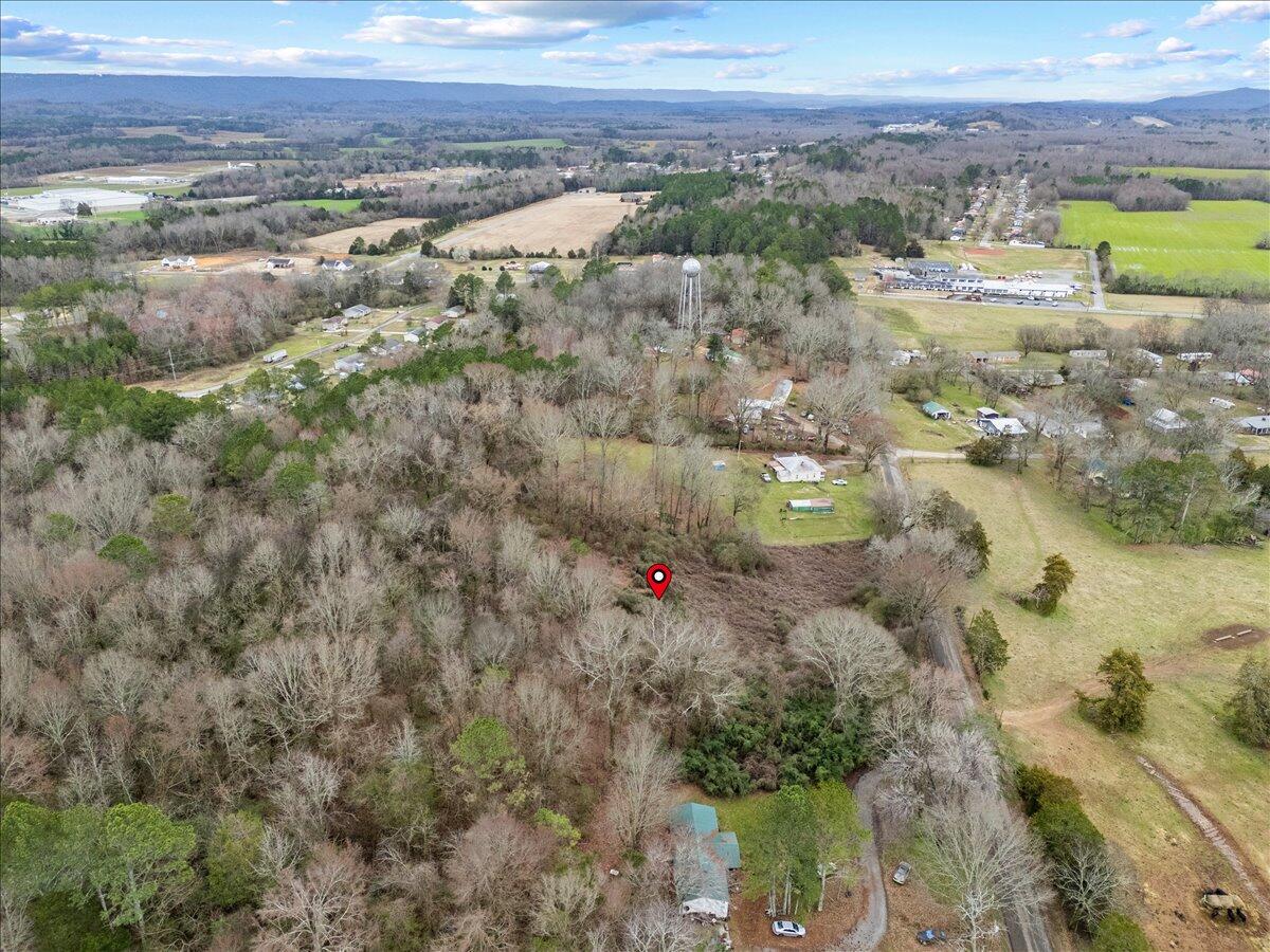 4 Acres County Road 42, Hollywood, Alabama image 4