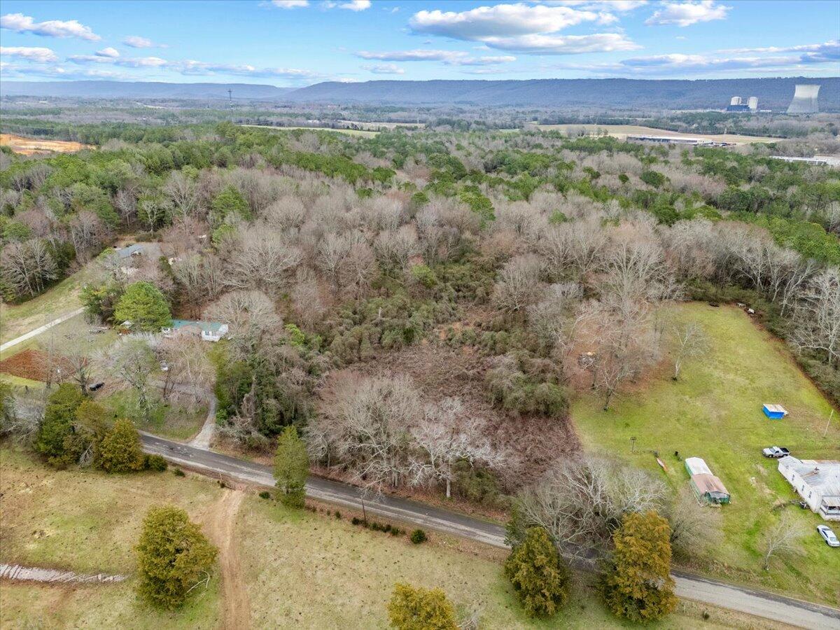 4 Acres County Road 42, Hollywood, Alabama image 11