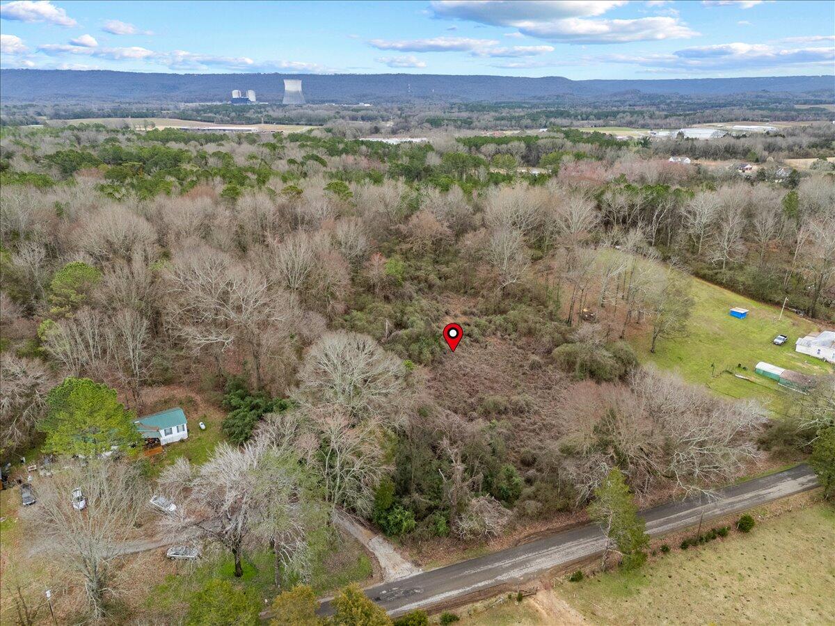 4 Acres County Road 42, Hollywood, Alabama image 7