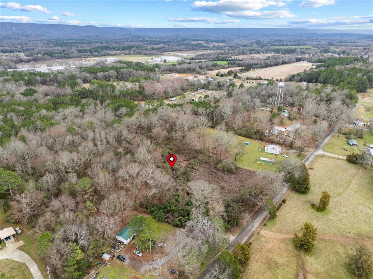 4 Acres County Road 42, Hollywood, Alabama image 28