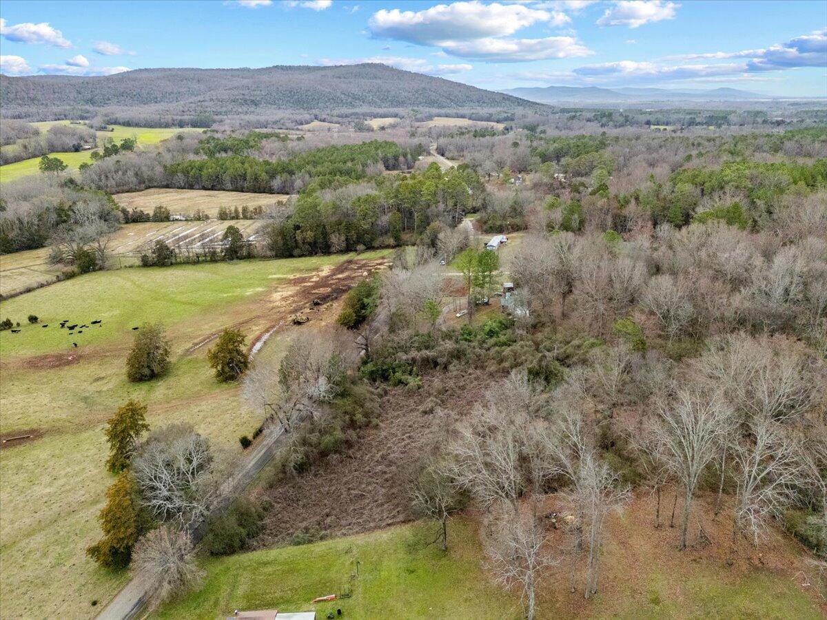 4 Acres County Road 42, Hollywood, Alabama image 3