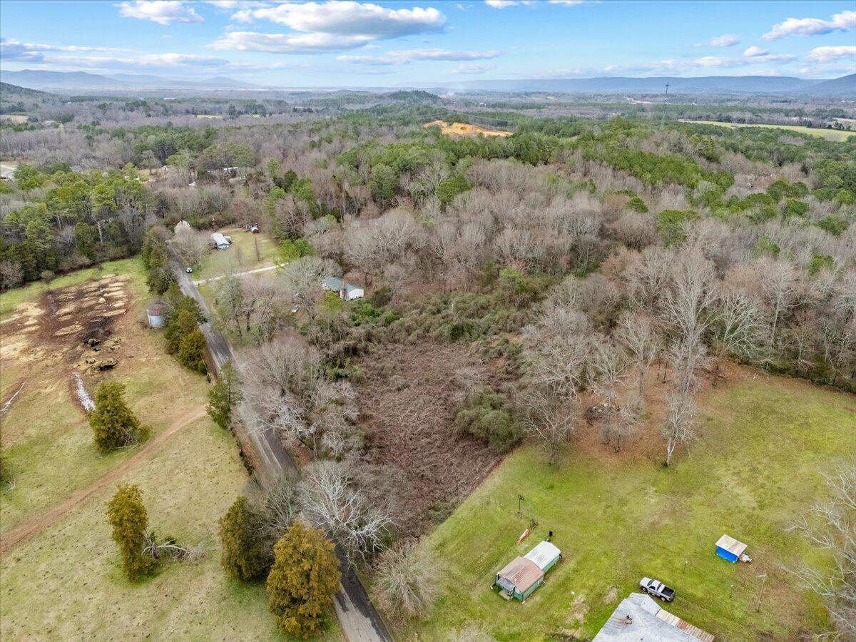 4 Acres County Road 42, Hollywood, Alabama image 15