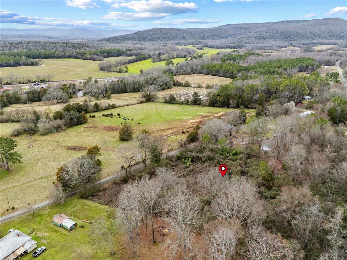 4 Acres County Road 42, Hollywood, Alabama image 17