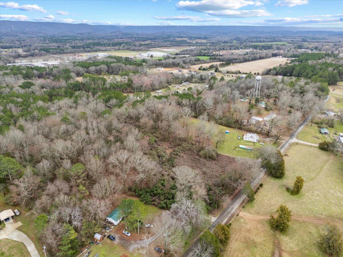 4 Acres County Road 42, Hollywood, Alabama image 29