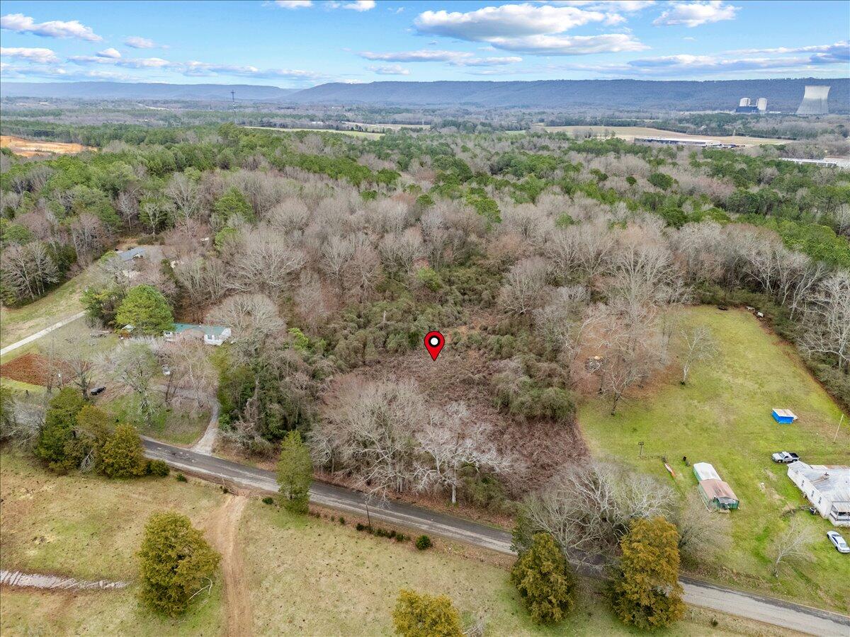 4 Acres County Road 42, Hollywood, Alabama image 10