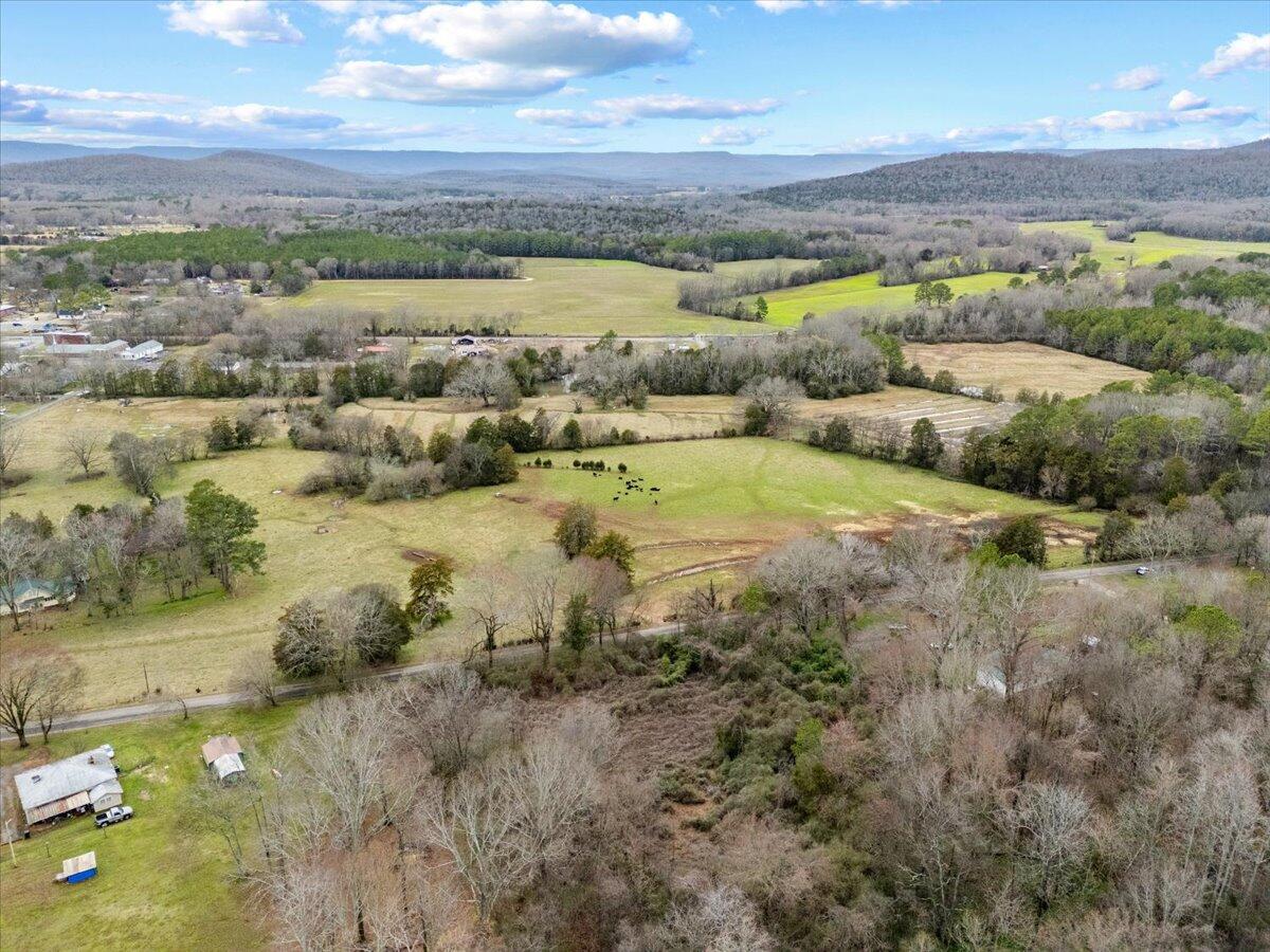 4 Acres County Road 42, Hollywood, Alabama image 20
