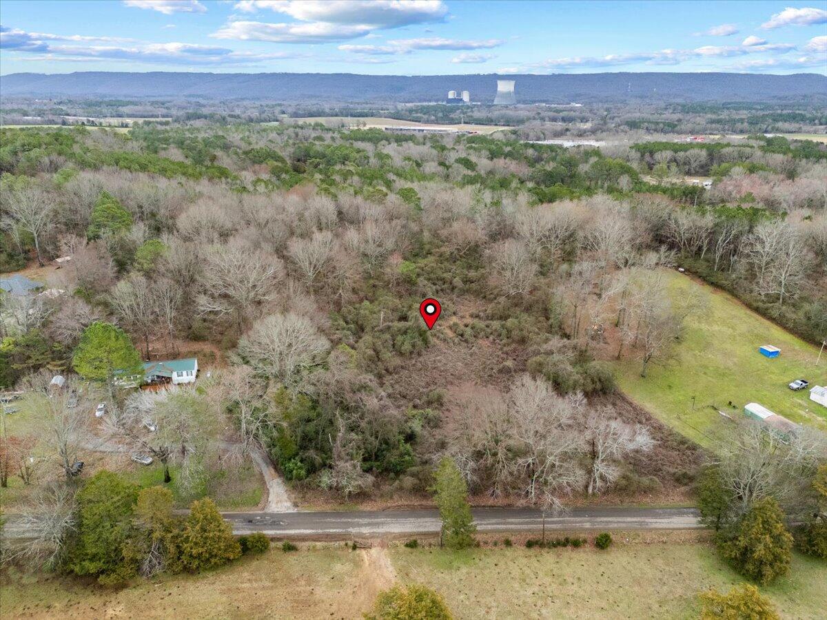 4 Acres County Road 42, Hollywood, Alabama image 8