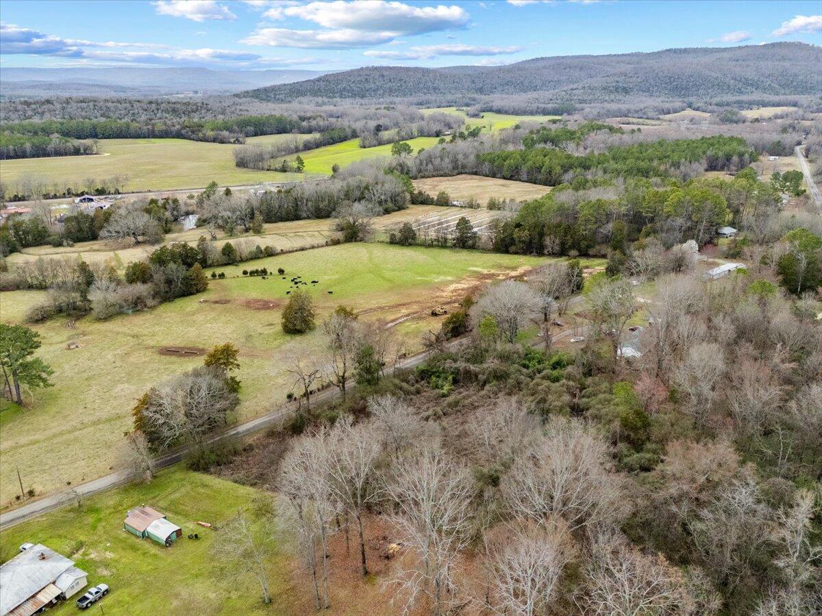 4 Acres County Road 42, Hollywood, Alabama image 18