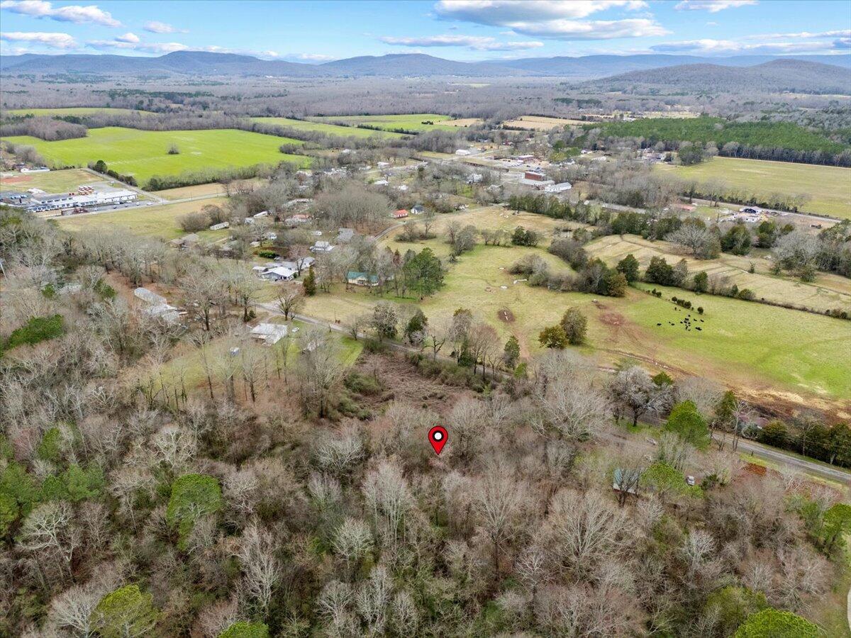4 Acres County Road 42, Hollywood, Alabama image 23