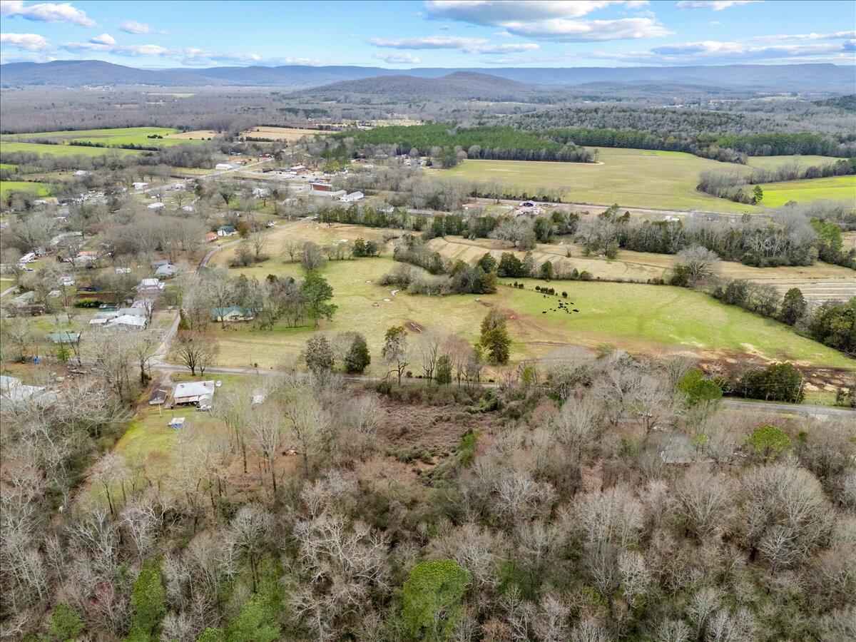 4 Acres County Road 42, Hollywood, Alabama image 22