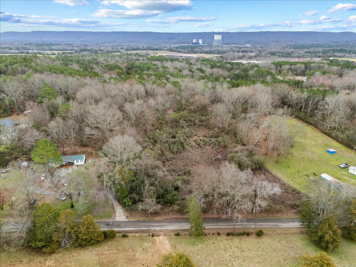 4 Acres County Road 42, Hollywood, Alabama image 9