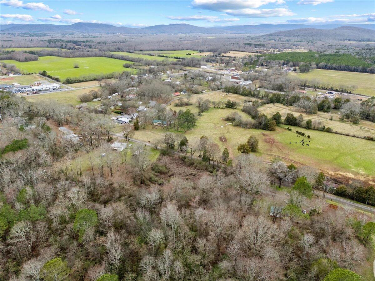 4 Acres County Road 42, Hollywood, Alabama image 24
