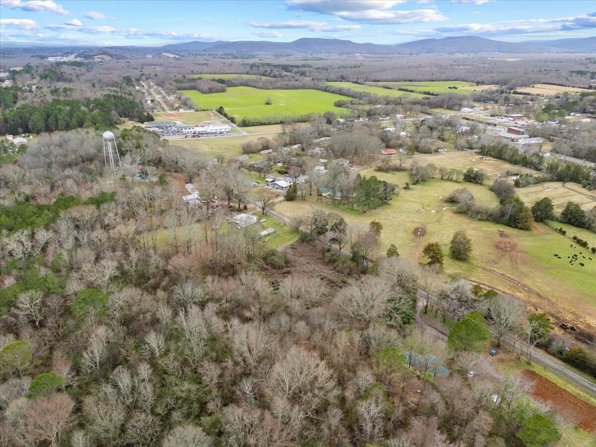 4 Acres County Road 42, Hollywood, Alabama image 26