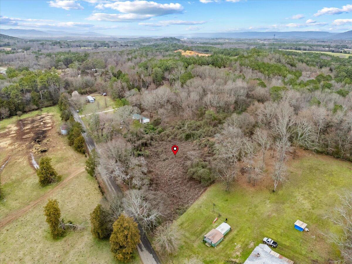 4 Acres County Road 42, Hollywood, Alabama image 14