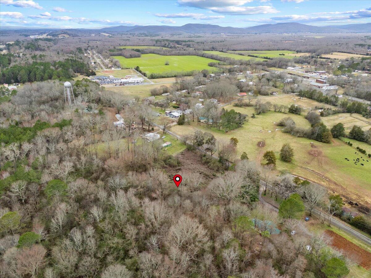 4 Acres County Road 42, Hollywood, Alabama image 25
