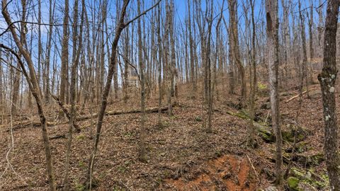 Tiny photo for 4516 Cummings Highway, Chattanooga, TN 37419 (MLS # 1529851)