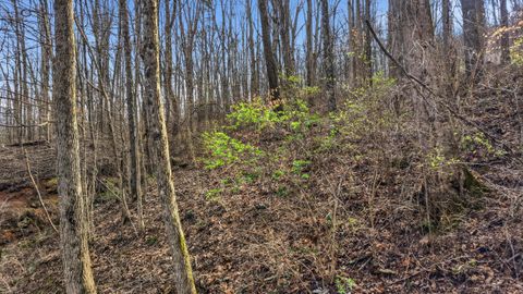 Tiny photo for 4516 Cummings Highway, Chattanooga, TN 37419 (MLS # 1529851)