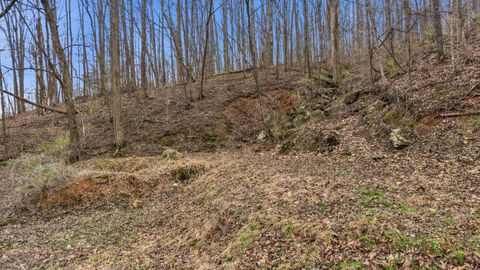 Tiny photo for 4516 Cummings Highway, Chattanooga, TN 37419 (MLS # 1529851)