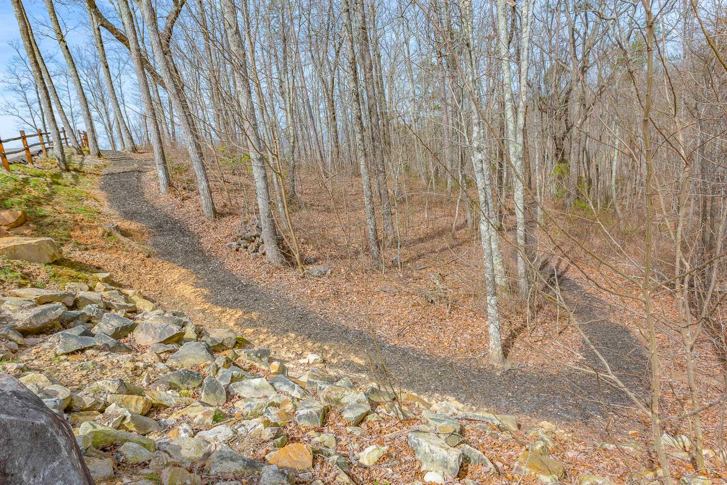 Lookout View Drive #LOT 168, Jasper, Tennessee image 33