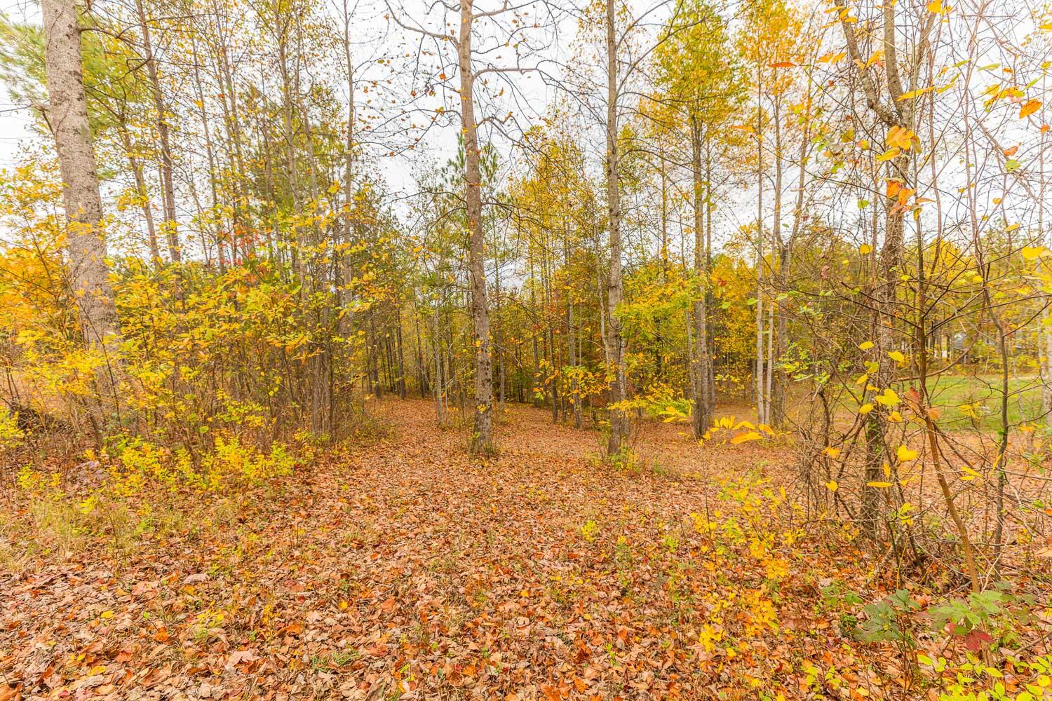 Jasper, Tennessee 37347, United States, ,Land,Active,40939