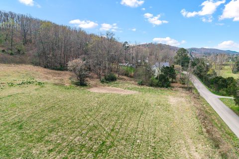 Tiny photo for Lot 7 N Nopone Valley Road, Decatur, TN 37322 (MLS # 1530382)