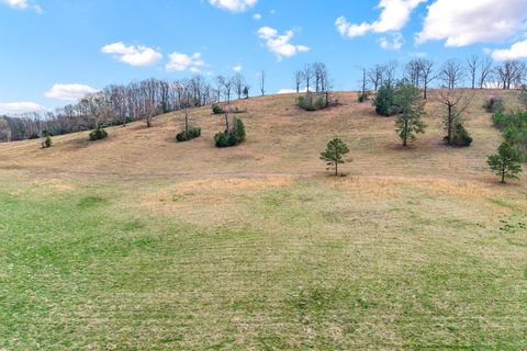Tiny photo for Lot 7 N Nopone Valley Road, Decatur, TN 37322 (MLS # 1530382)
