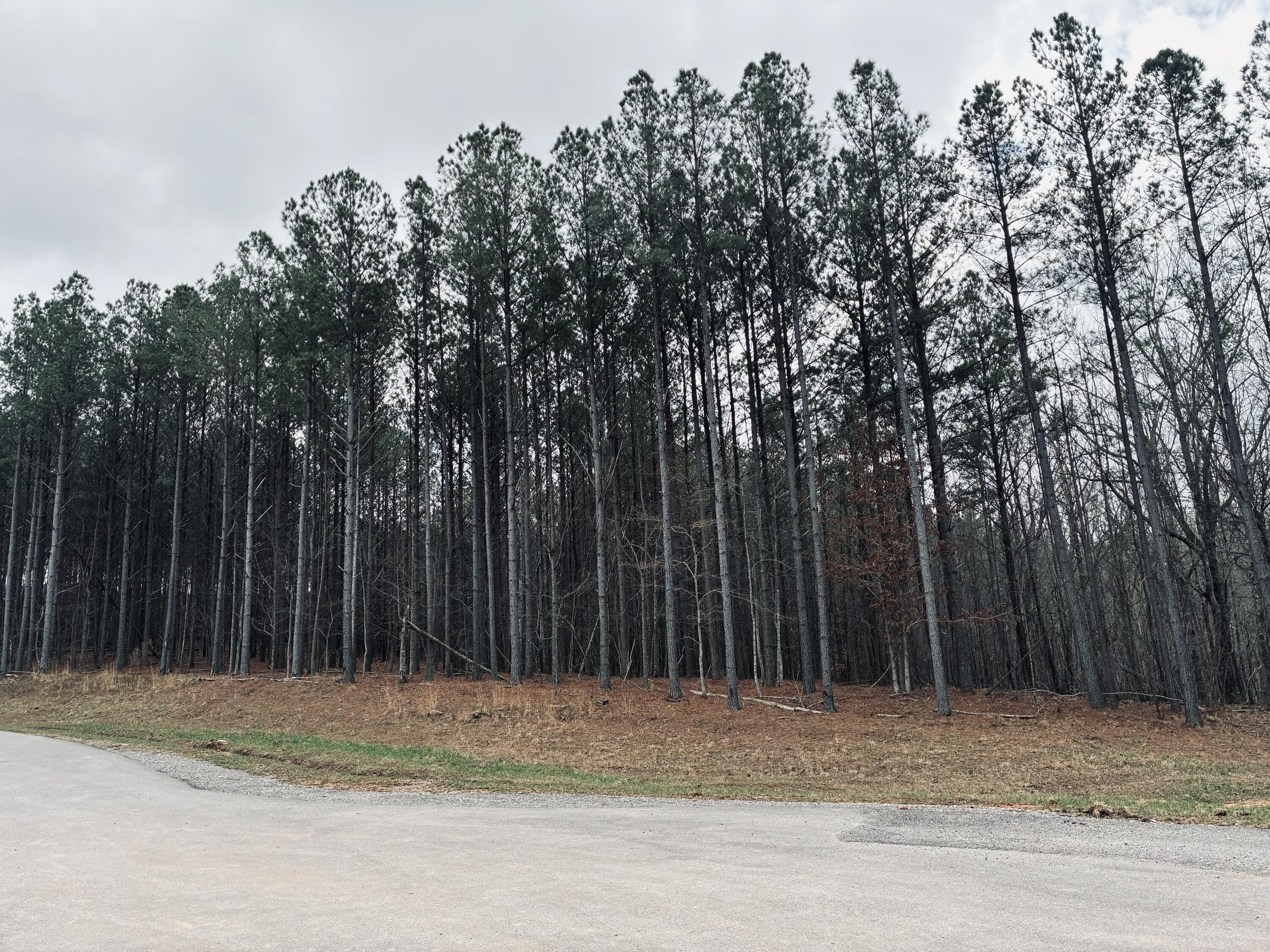 215 Honeybee Court Jf-407