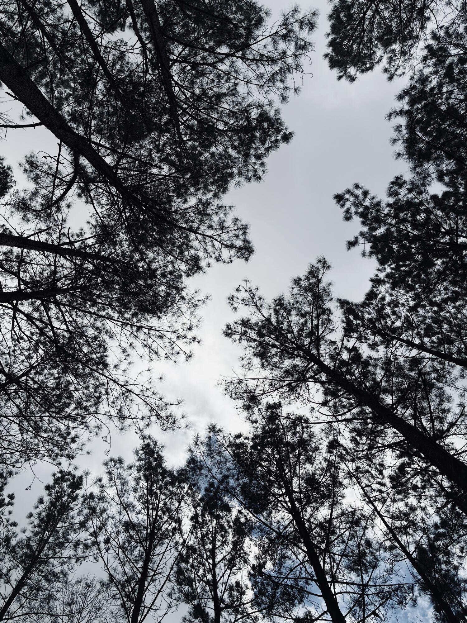 215 Honeybee Court Jf-407