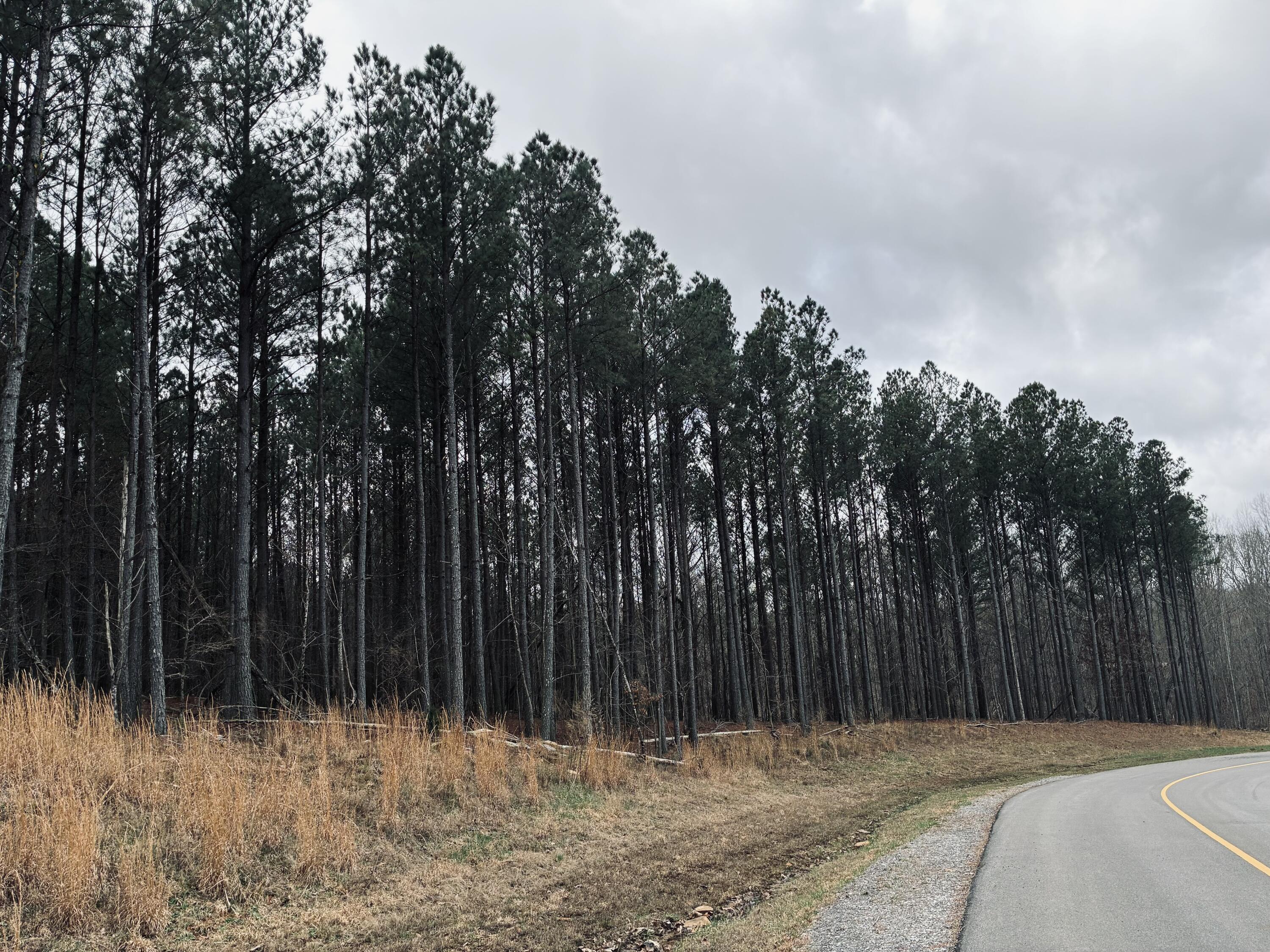 215 Honeybee Court Jf-407