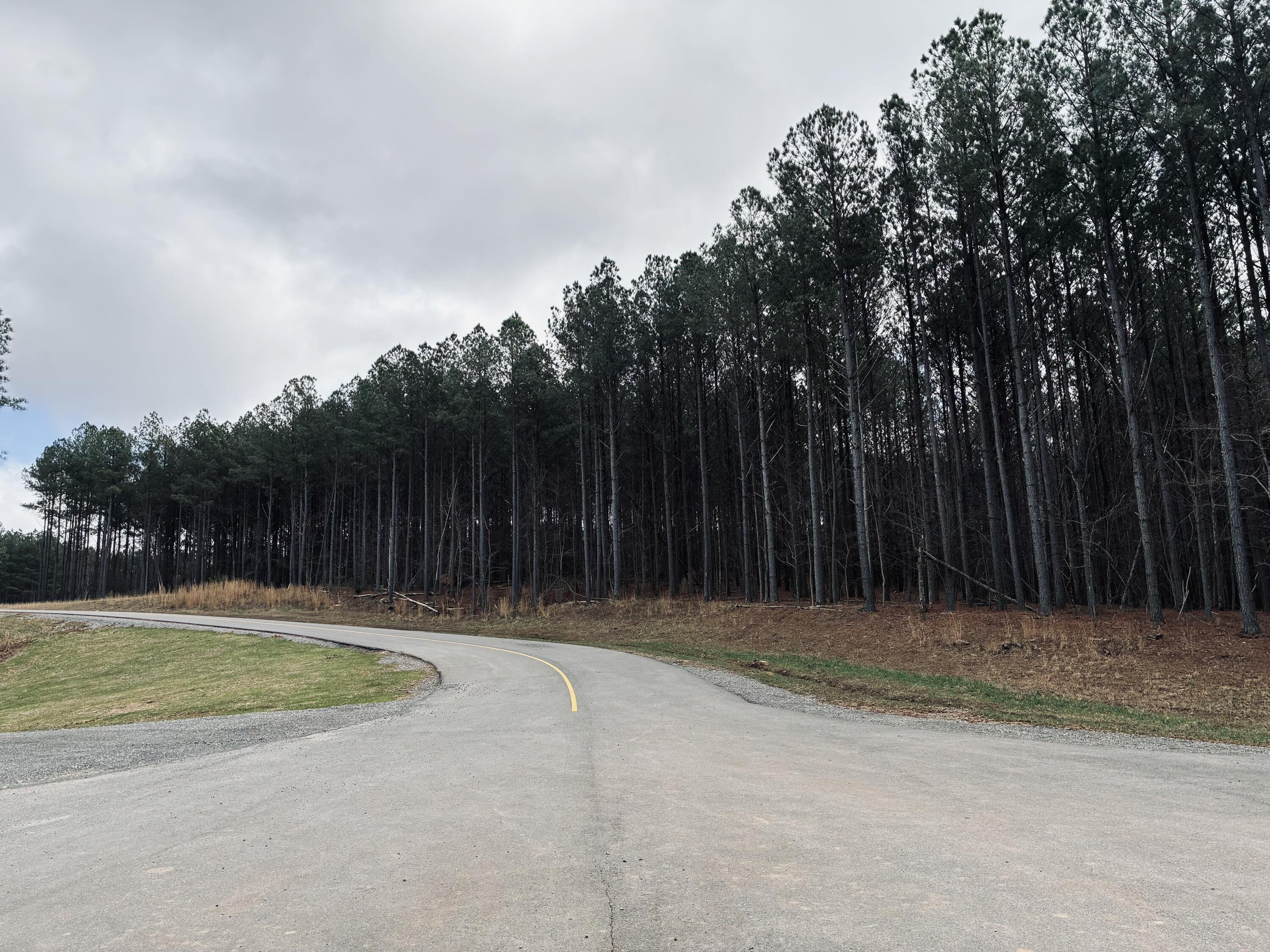 215 Honeybee Court Jf-407